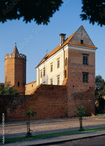 Leczyca, Poland - July, 2004: royal castle in Leczyca photo