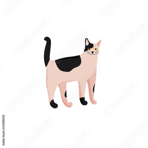 Cute character cartoon style of cat. Icon of domestic metis breed for different design.