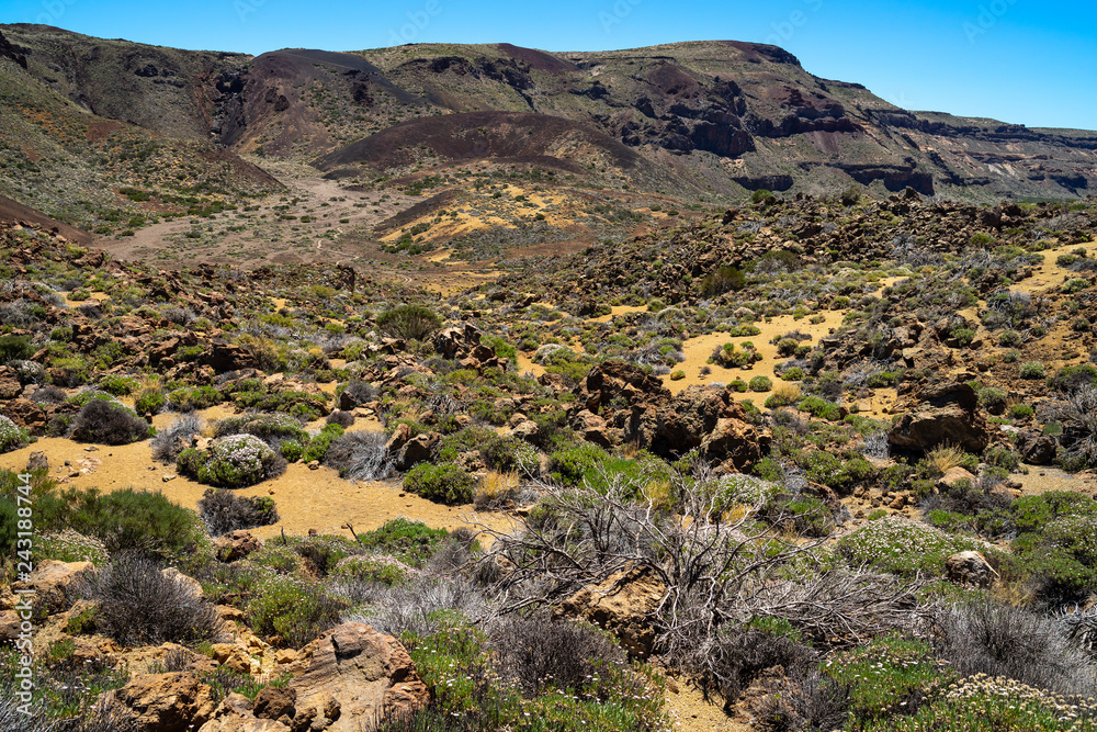 The lava fields of Las Canadas caldera of Teide volcano. Viewpoint: Minas de San Jose. Tenerife. Canary Islands. Spain.