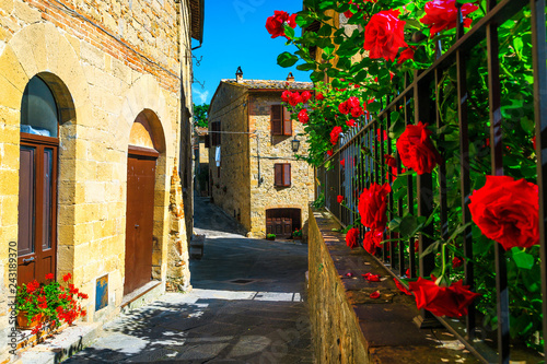 Fototapeta Naklejka Na Ścianę i Meble -  Flowery garden and paved street view in Tuscany, Monticchiello, Italy
