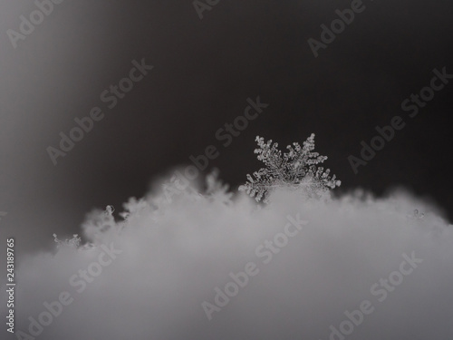 Snowflake closeup photo. Snow macro. Snowflake on macro photo. © Peter
