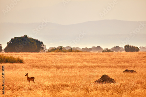 Queen Elizabeth National Park