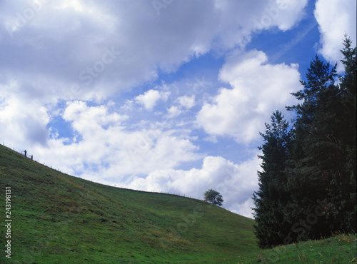 Czarna Hancza Valley, Suwalski Landscape Park, Poland photo