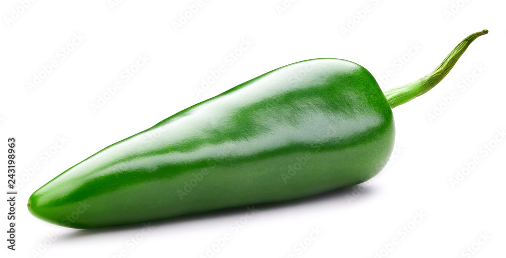chili pepper isolated chili pepper isolated