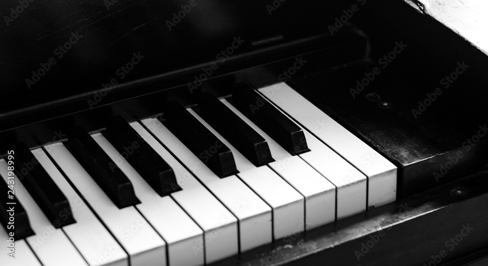 Piano Keys 5