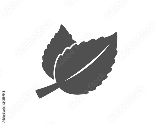 Mint leaves icon. Herbal leaf sign. Tea with Mentha symbol. Quality design element. Classic style icon. Vector