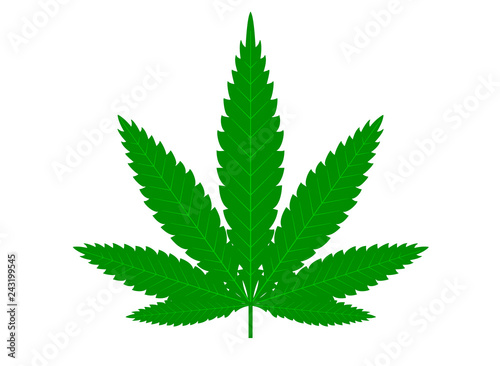 Cannabis marijuana hemp green leaf flat symbol or logo design. Cannabis green silhouette ecology logo. Hemp emblem for the logo design packaging of goods  food  for the creation of printed products.