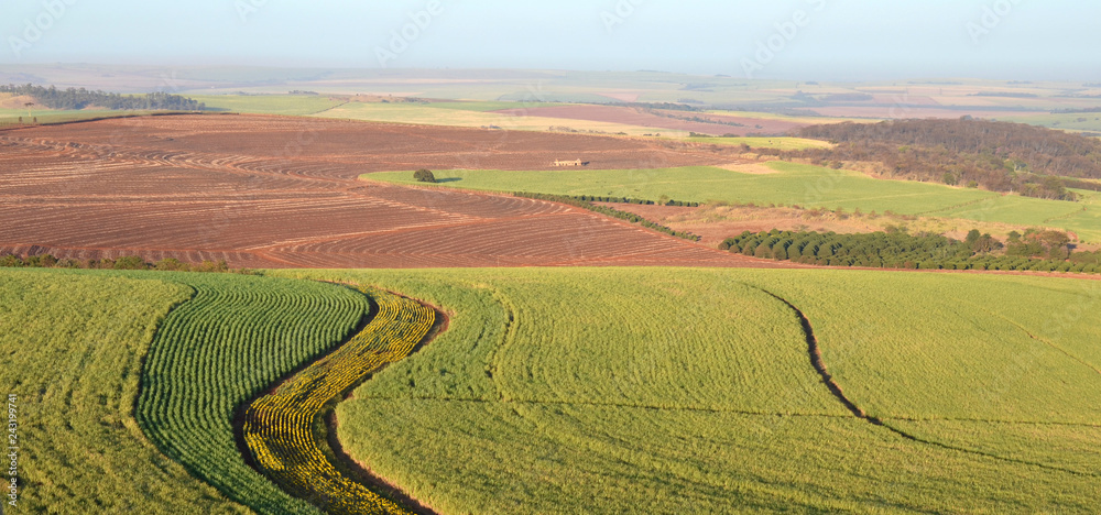Brazilian agriculture and sugarcane cultivation