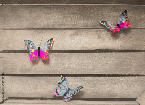 Tree colorful butterflies on a wooden background photo