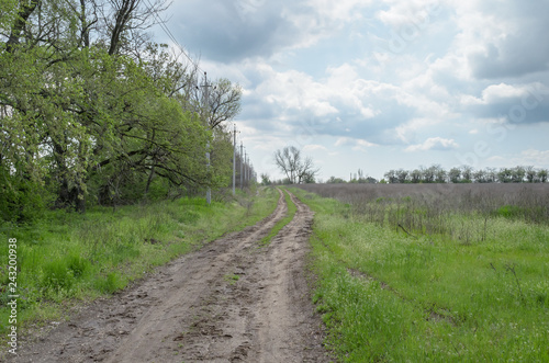 A muddy dirt road leads into the distance near the trees among the fields.