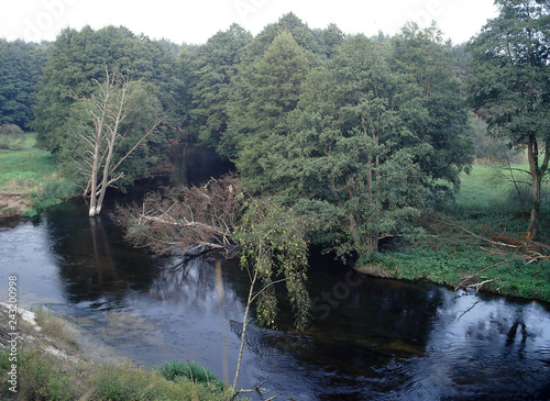 Drawa river, Drawa National Park, Poland photo