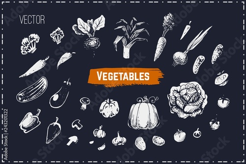 Hand drawn vegetables set. Chalk vector icons