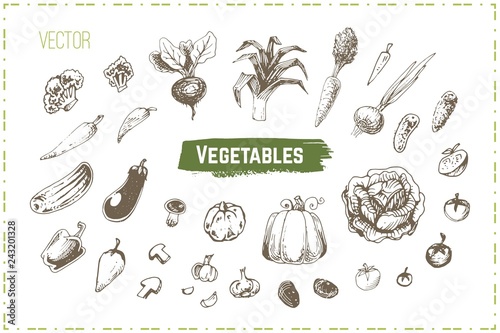 Hand drawn vegetables set. Vintage vector icons