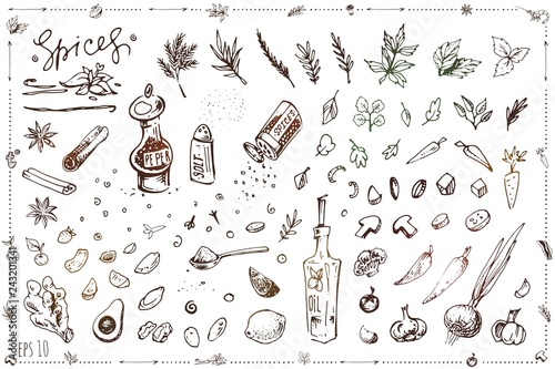 Seasoning and vegetables hand drawn vector set
