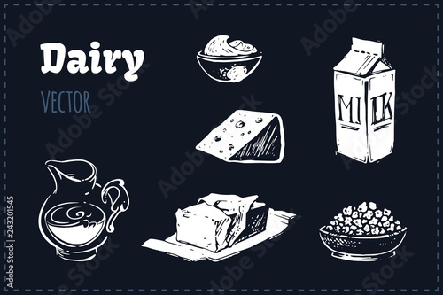 Dairy Products illustrations set. Vector sketches
