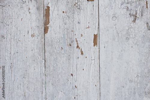 Wallpaper Mural Wood pine plank white grunge texture background Torontodigital.ca