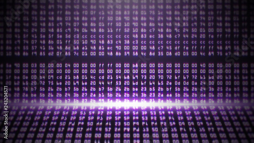 Photography Purple Programming HEX Code 3D illustration