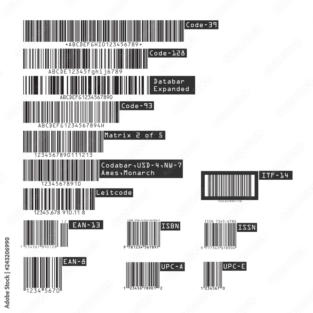 Business barcodes and QR codes isolated on white background. Vector illustration.