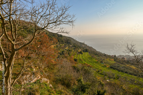 Scenic view of the terraced hill of Borgio Verezzi with the sea in the background, Liguria, Italy