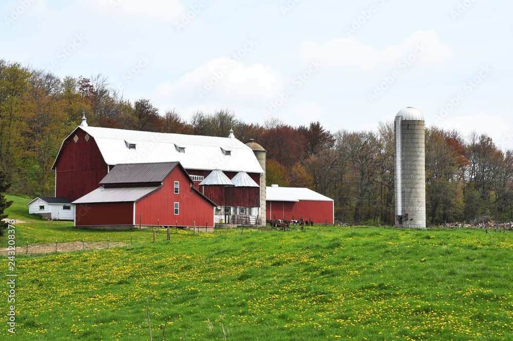Obraz premium Farm Buildings
