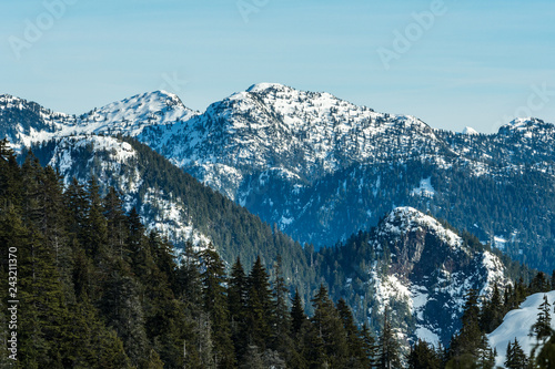 green forest covered mountain range under thin layer of snow behind forest on hill top under blue cloudy sky © Yi