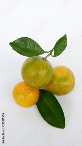 fresh oranges, with a white background