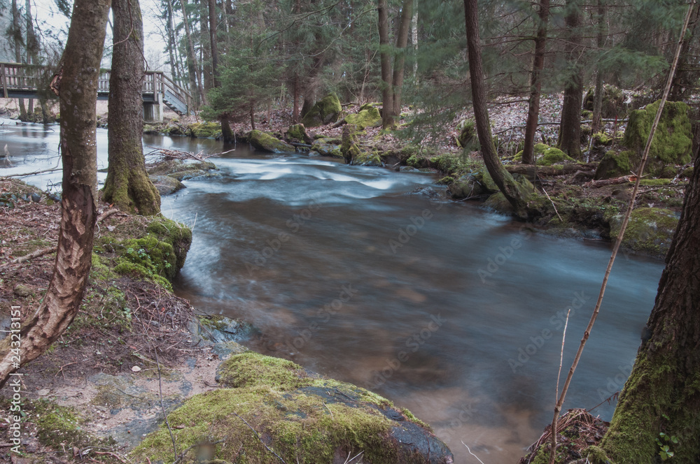 Obraz premium Little River In The Beautiful Forest Of Bavaria