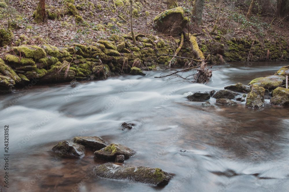 Little River In The Beautiful Forest Of Bavaria Little River In The Beautiful Forest Of Bavaria