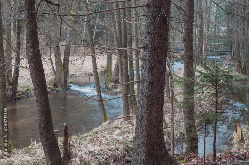 Little River In The Beautiful Forest Of Bavaria Little River In The Beautiful Forest Of Bavaria