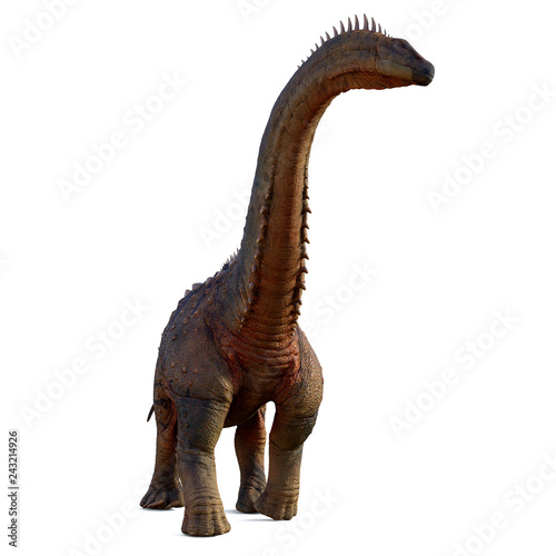 Alamosaurus Dinosaur on White - Alamosaurus was a titanosaur sauropod herbivorous dinosaur that lived in North America during the Cretaceous Period. © Catmando