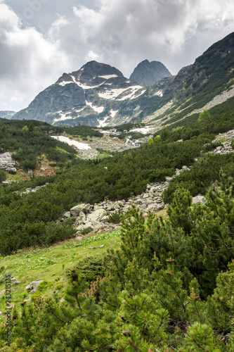 Amazing Summer landscape of Malyovitsa peak  Rila Mountain  Bulgaria