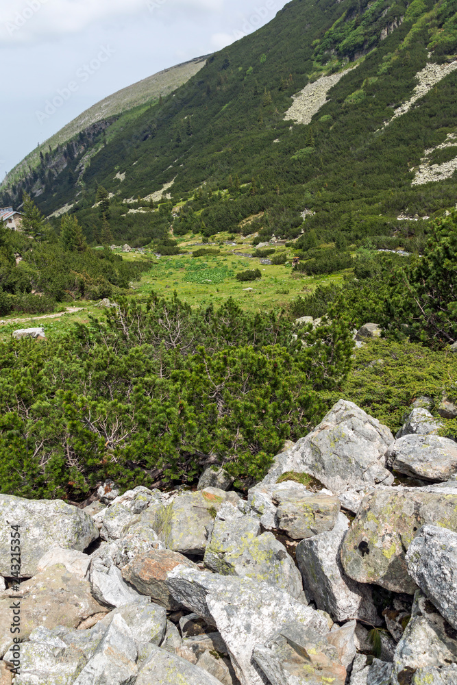 Summer landscape of Malyoviska river Valley, Rila Mountain, Bulgaria Summer landscape of Malyoviska river Valley, Rila Mountain, Bulgaria