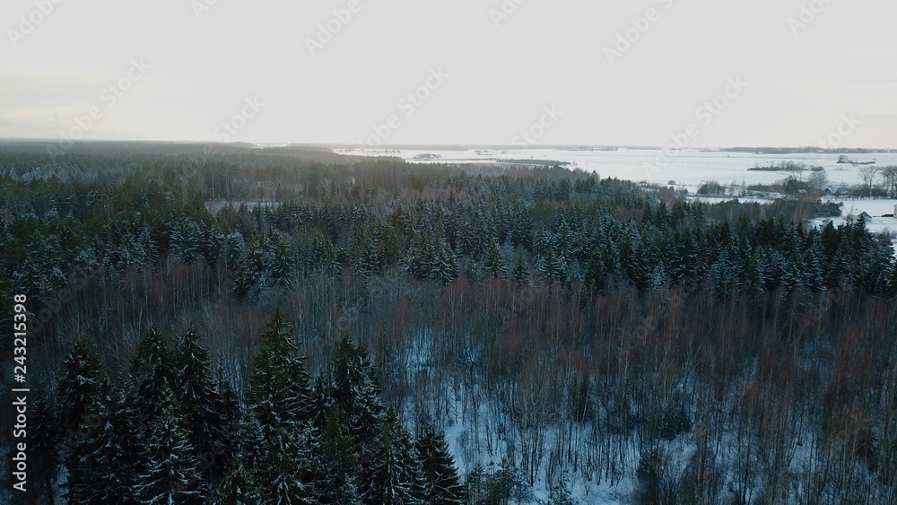 Fototapeta premium DCIM\100MEDIA\DJI_0032.JPG