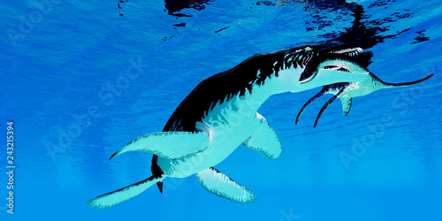 Liopleurodon catches Plesiosaurus - An unlucky Plesiosaurus becomes the prey for a Liopleurodon marine reptile in England's Jurassic seas. photo