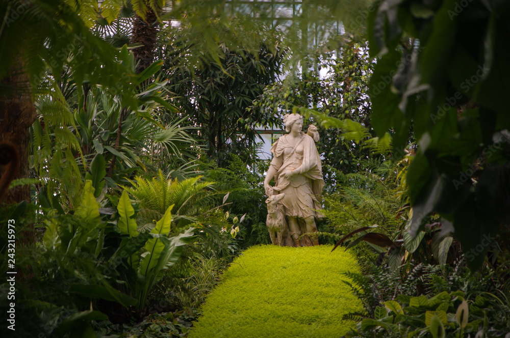 Obraz premium Royal garden