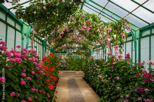 Serres Royales de Laeken photo