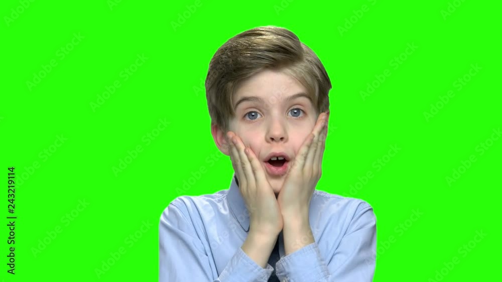 Portrait of shocked boy touching his cheeks. Green hromakey background for keying. Portrait of shocked boy touching his cheeks. Green hromakey background for keying.
