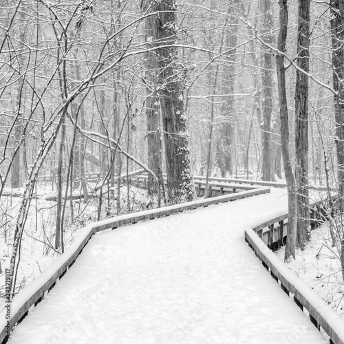 wooden walking path in snow