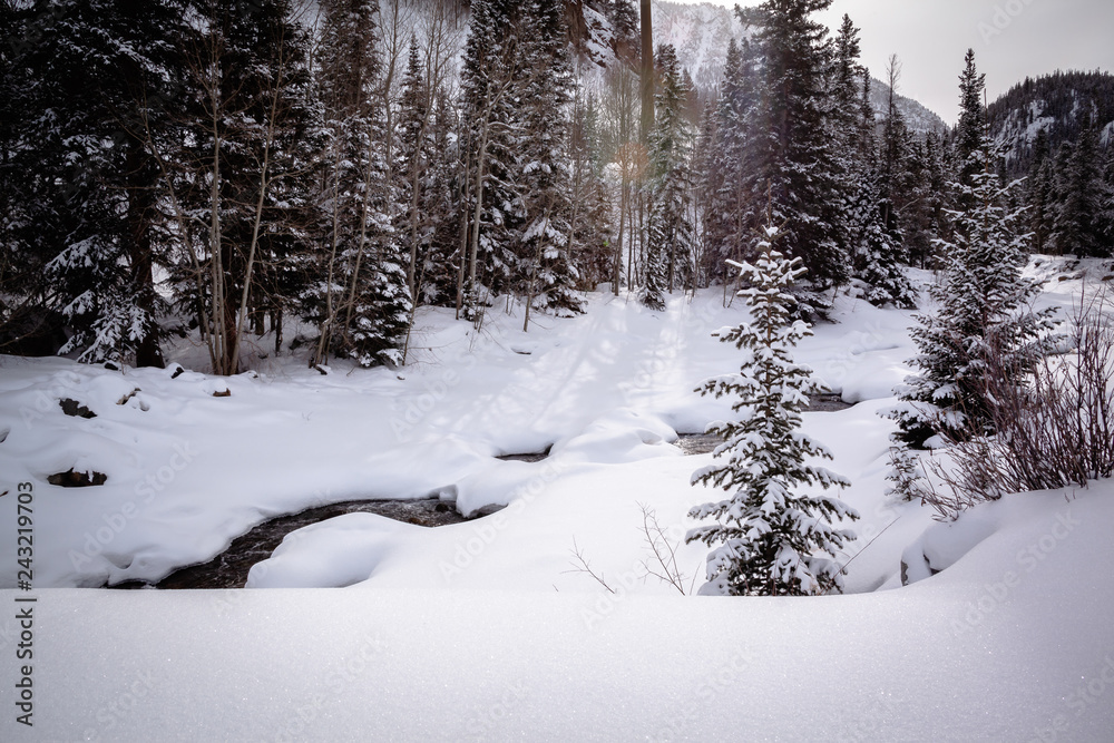 Creek In Winter Forest Creek In Winter Forest