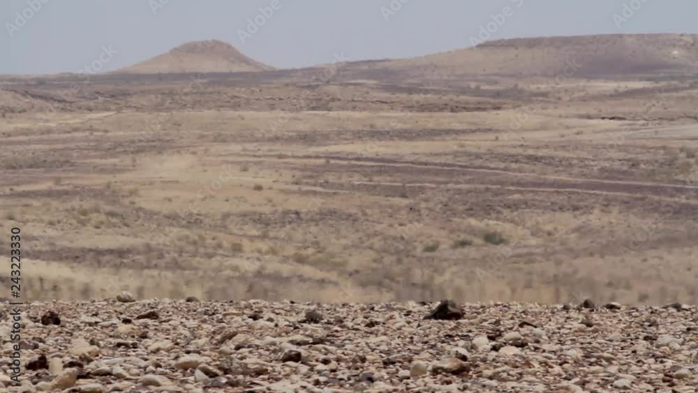 Hot Desert in Israel Steady shot of hot desert with blured waves in the Negev Israel Hot Desert in Israel Steady shot of hot desert with blured waves in the Negev Israel