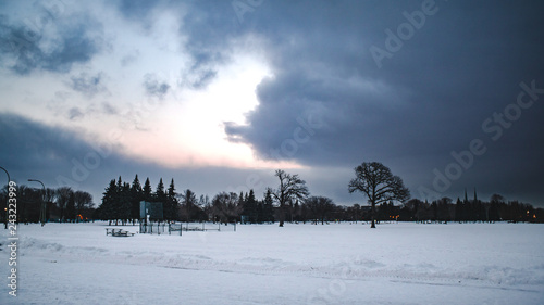 winter landscape (ID: 243223999)