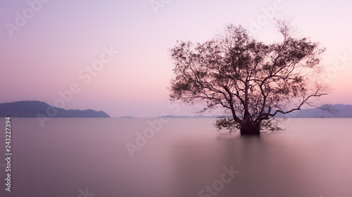 Long exposure image of dramatic sunset with alone tree
