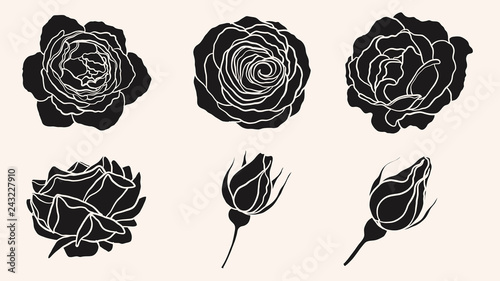 Rose silhouette ornament vector by hand drawing.Beautiful flower on brown background.Blaze rose vector art highly detailed in line art style.Flower tattoo for paint or pattern.