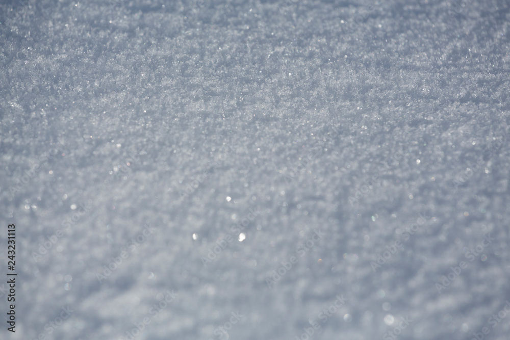 Fototapeta premium Fresh snow