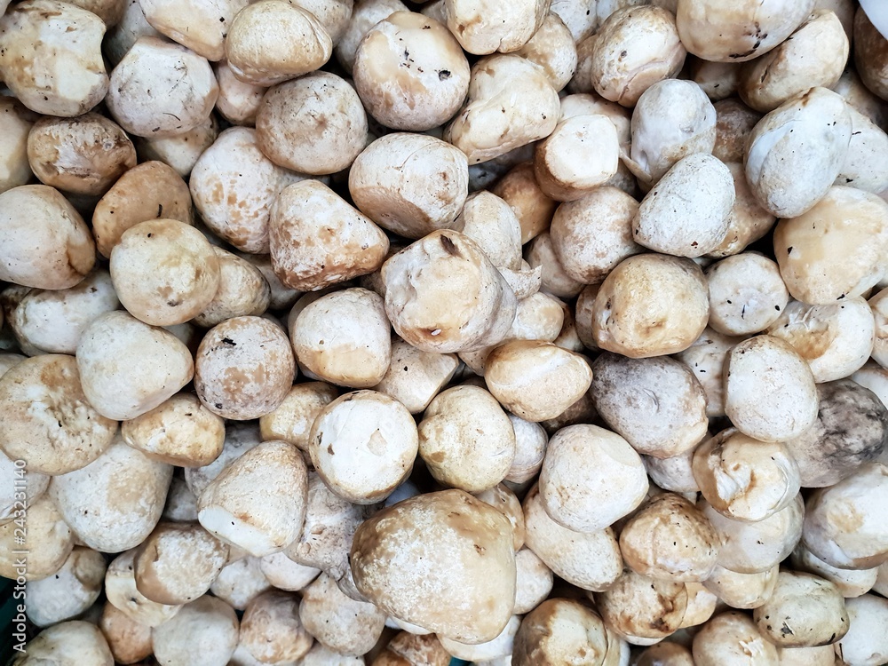 Top view of fresh straw mushroom or volvariella volvacea as a background in the market for sale at Thailand, fresh vegetable for cooking