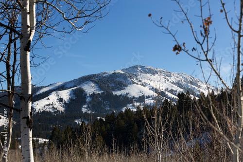 Scout Mountain Idaho