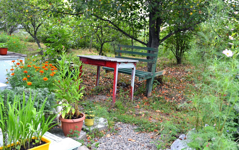 Bench and table with flowers in pots in old garden in the autumn. Spring and summer nature vintage background in daylight outdoors Bench and table with flowers in pots in old garden in the autumn. Spring and summer nature vintage background in daylight outdoors