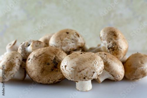 Close up view of a ground of mushrooms. White foreground.