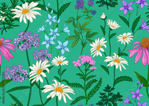 Seamless background with wild flowers. Full color pattern.