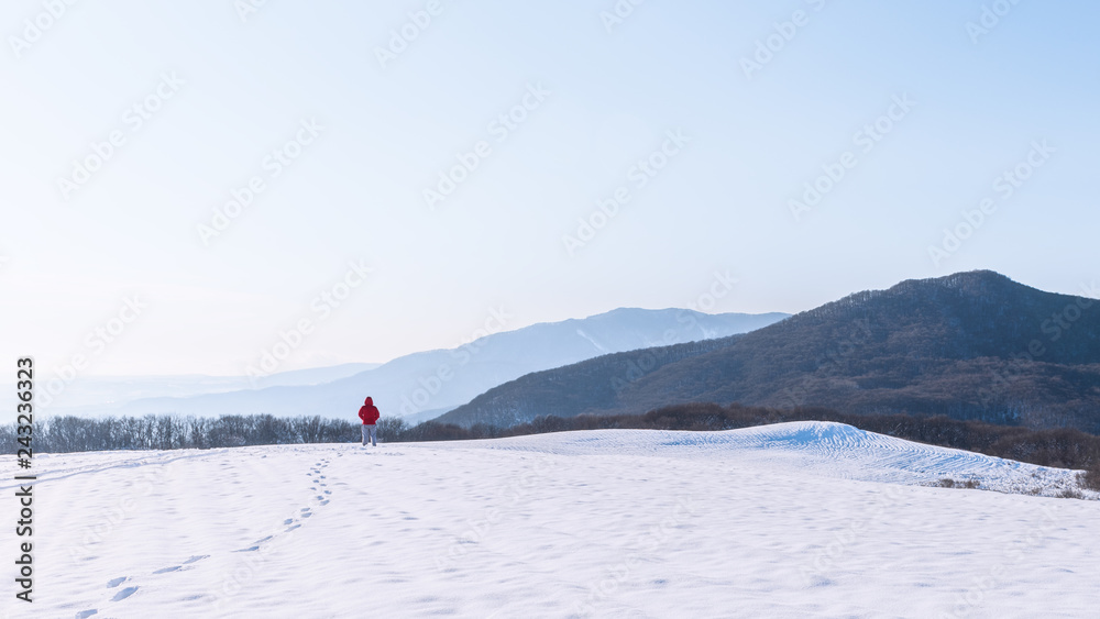 Traveler in the snow capped mountains